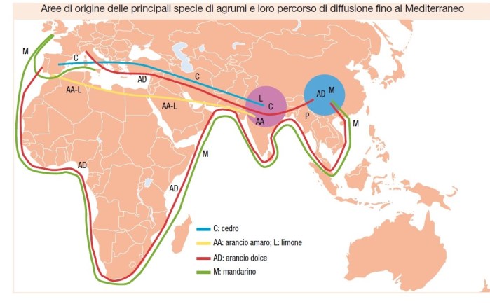 Arance zone d'origine e commercio