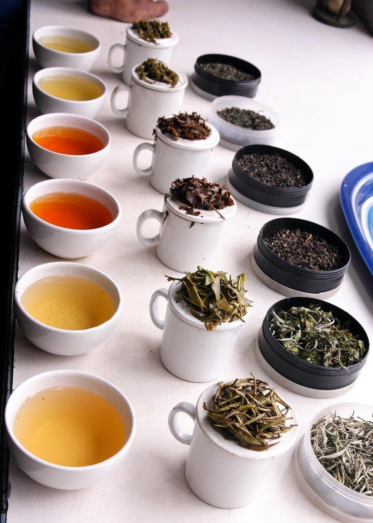 Percorsi sul tè di Viaggio intorno al tè