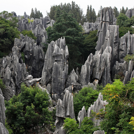 Yunnan, contea Yi di Shilin, Foresta di Pietra