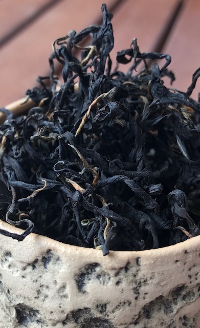 Windy Hollow BlackGold