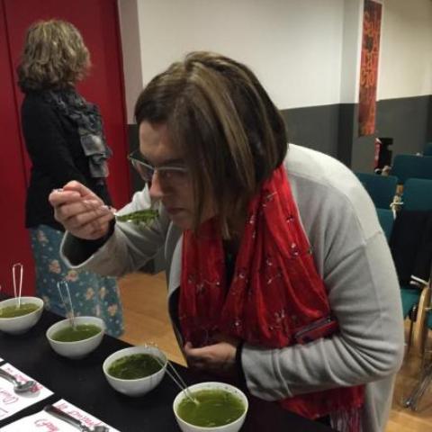 Io mentre degusto i tè Sencha